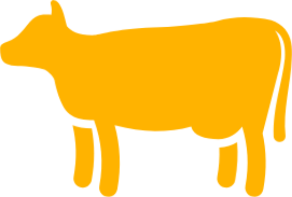 cow